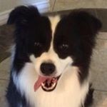 Profile Picture of Jeanette Jolly (@jeanettejollytazsplash1) on Instagram