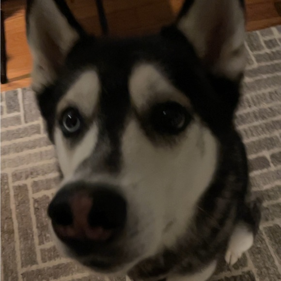 Profile Picture of Kim Rojas (@rojaskimmy37) on Poshmark