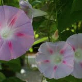 Profile Picture of M Testa (@maggietesta) on Pinterest