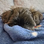 Profile Picture of Mel Graves (@melgraves25) on Facebook