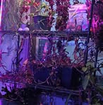 Profile Picture of Aaron Foster (@Aaron-Foster) on Facebook