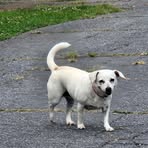 Jerry Braswell - Facebook Profile Picture of Jerry Braswell (@jerry.braswell.52) on Facebook