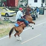 Profile Picture of carlos miranda gonsalez (@carlosmirandagons) on Instagram