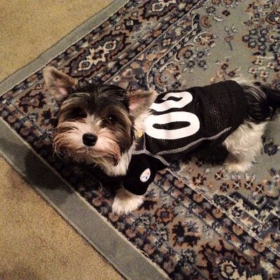 Profile Picture of Michael Cramer (@mcramer7244) on Twitter