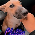 Profile Picture of Buddy Covey (@Buddy-Covey) on Facebook
