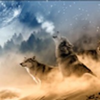 Profile Picture of Kyleigh Cook (@kyleigh-cook-3) on Quora