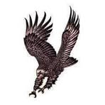 Profile Picture of Thomas Tubula (@Thomas-Tubula) on Facebook