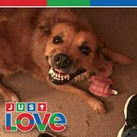 Profile Picture of Vickie Cummings-boehm (@vickie-cummings-boehm) on Quora