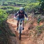 Profile Picture of Michael Sarino (@michael.sarino) on Instagram