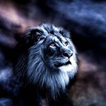 Profile Picture of Alex Polk (@alex.polk.5076) on Instagram