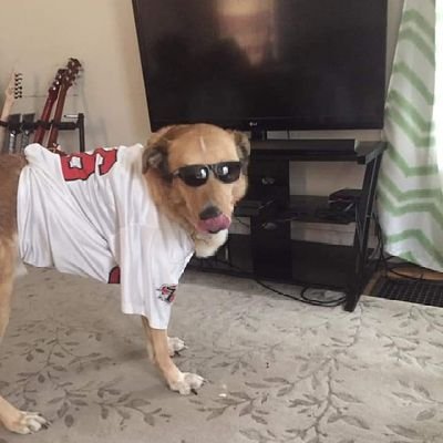 Profile Picture of Trevor Griffith (@TrevorG90235757) on Twitter