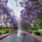 Profile Picture of Virginia Graham (@Virginia-Graham) on Facebook