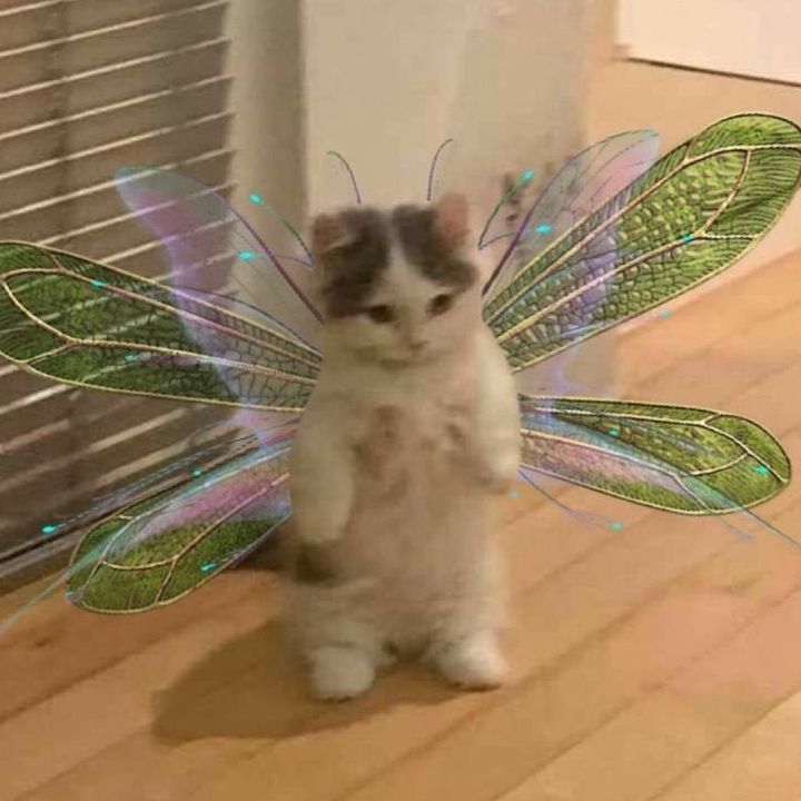 Profile Picture of sylvia.and.lidia (@sylvia.and.lidia) on Tiktok