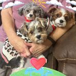 Profile Picture of Linda Spalding (@linda.spalding.98) on Facebook