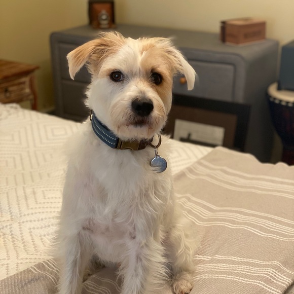 Profile Picture of Ciaran Cullen (@radiantdc) on Poshmark