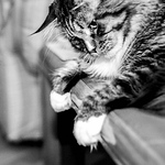 Profile Picture of Mario Silverio (@mariosilverio64) on Flickr