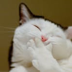 Profile Picture of Yvette Iwanowski (@yvette.iwanowski) on Facebook