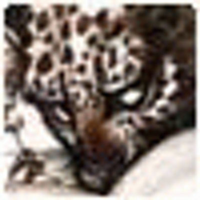 Marc Horne - Twitter Profile Picture of Marc Horne (@xsebastiv) on Twitter