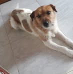 Profile Picture of Matteo Ferrucci (@matteo.ferrucci.71) on Facebook