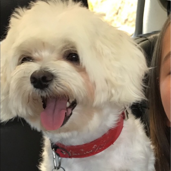 Lyudmila Mikityuk - Poshmark Profile Picture of Lyudmila Mikityuk (@emmamik) on Poshmark