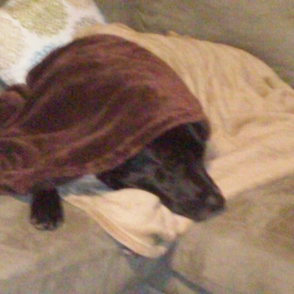 Profile Picture of Bryan Boykin (@bryanboykin2000) on Poshmark