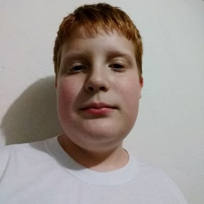 Profile Picture of Gabriel Krause (@Gabrielkrause19) on Twitter