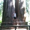 Profile Picture of Andrew Wiersema (@@andrewwiersema) on Tiktok
