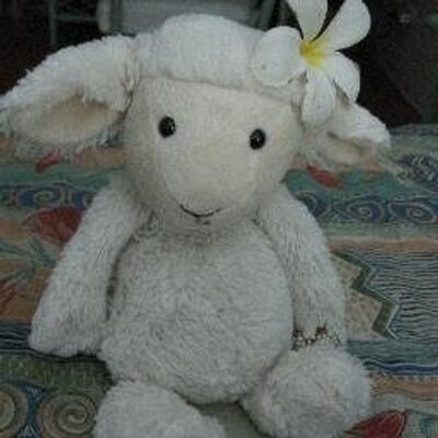 Profile Picture of Pamela Murdoch (@PamelaJMurdoch) on Twitter