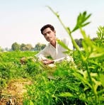 Profile Picture of Shoaib Jamali (@shoaib.jamali.737) on Facebook