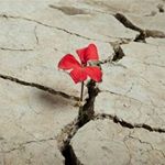 Profile Picture of Adrian Baroncea (@barbaroncea_barbarul) on Instagram