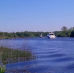 Profile Picture of Daniel Hannant (@box444930) on Facebook