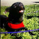 Profile Picture of Steven W. Smith (@teacher35steven) on Instagram