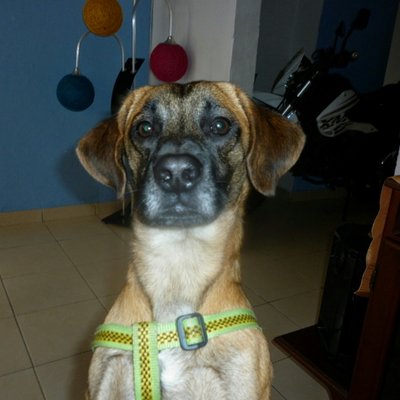 Profile Picture of Ariel Tovar Saavedra (@jairoarieltovar) on Twitter