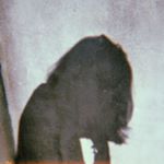 Profile Picture of Lupe Torres (@lupemt17) on Instagram