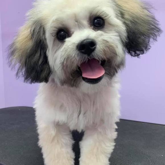 Charlotte Ribbe - Poshmark Profile Picture of Charlotte Ribbe (@charlotteribbe) on Poshmark