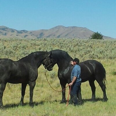 Profile Picture of David N Lusk (@DavidNLusk) on Twitter