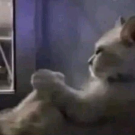 Profile Picture of Ariel (@arielmrd) on Tiktok