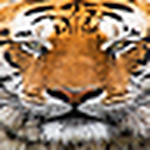 Profile Picture of Benjamin Cole (@04benjamin) on Flickr