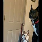 Profile Picture of Austin Sneed (@austinsneed1) on Instagram