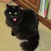 Profile Picture of Pamela Ball (@pamela.ball.357622) on Facebook