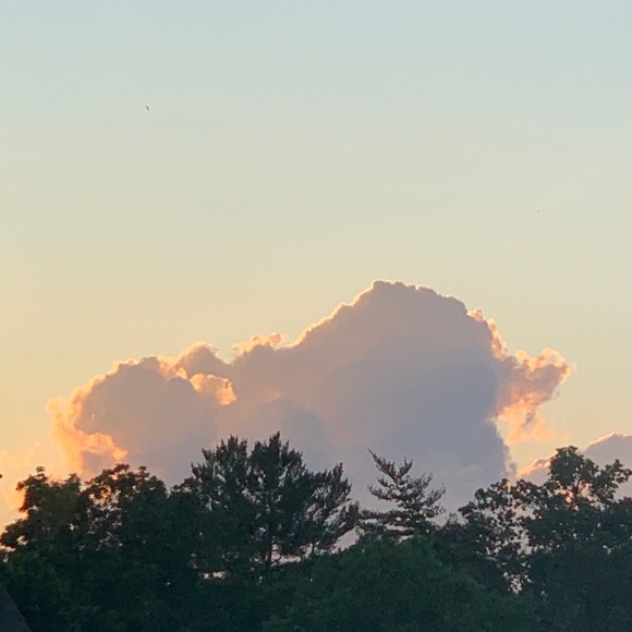 Profile Picture of Drusilla De veer (@doodler_dru) on Poshmark