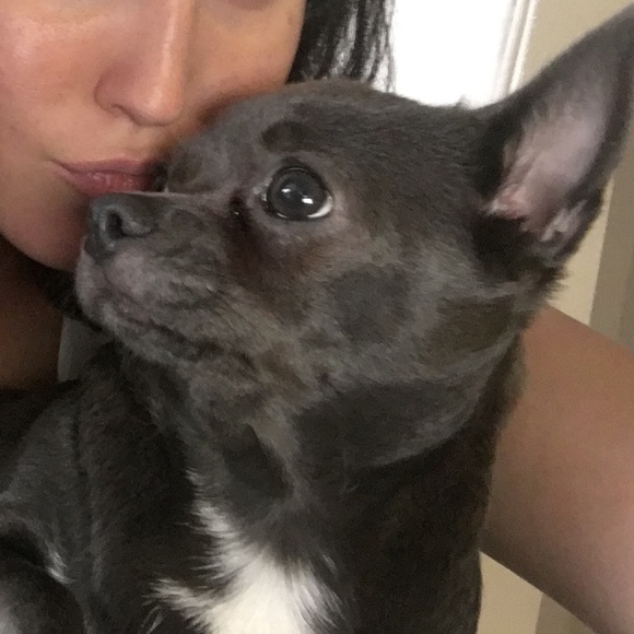 Danielle Oratch - Poshmark Profile Picture of Danielle Oratch (@acidburn1225) on Poshmark