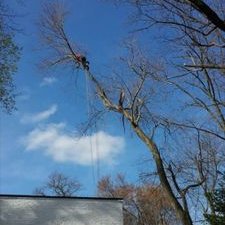 Profile Picture of Irving Fletcher (@fletcher_irving) on Twitter