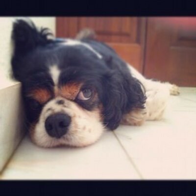 Profile Picture of Benjamin Dobie (@benjamindobie) on Twitter