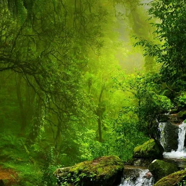 Profile Picture of Lawrence Reece (@lawrencereece) on Tiktok