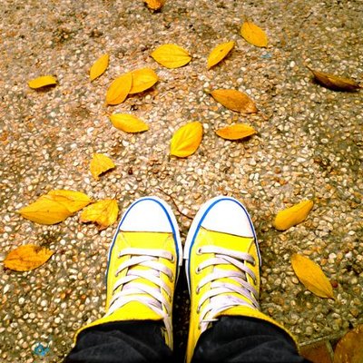 Kit Sin キッシン - Twitter Profile Picture of Kit Sin キッシン (@kit2124) on Twitter