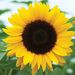 Profile Picture of Thomas Riego (@TEPM_) on Pinterest