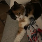 Profile Picture of Heather Cody (@Heather-Cody) on Facebook