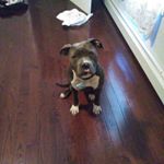 Profile Picture of keith bacote (@bacotekeith) on Instagram