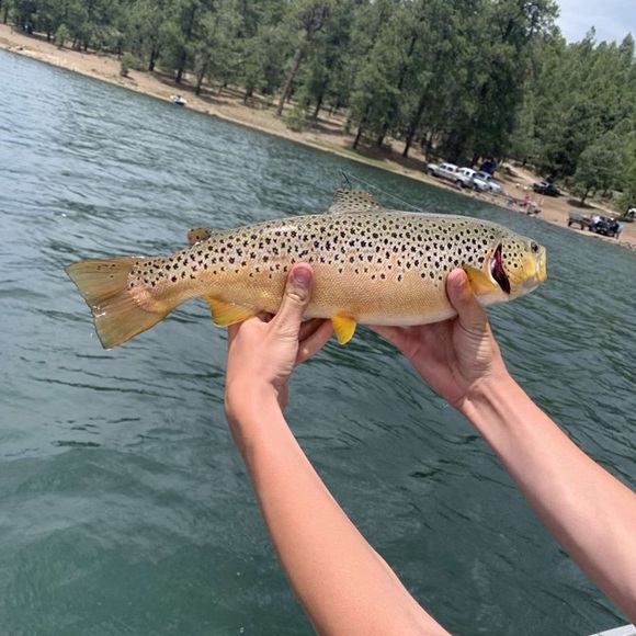 Profile Picture of Nicholas Hayes (@nicholashaye393) on Poshmark